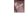 825540_34063_mini