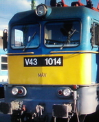 826392_86049_profile