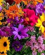 826691_79328_profile