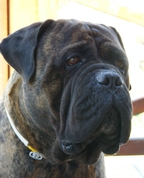 844004_64406_profile