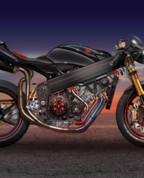 84444_255546_profile