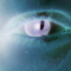 84839_146262_tiny