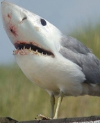 805956_80203_profile