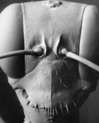 873690_14691_profile