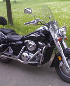 877313_60018_profile