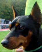 878276_77491_profile