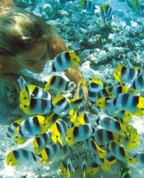 87109_592642_profile