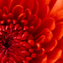 881362_43415_tiny