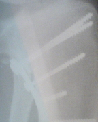 885464_19641_profile