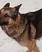 889785_50336_profile