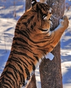 808288_56658_profile