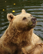 808447_46208_profile
