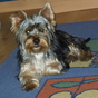 880200_27576_card