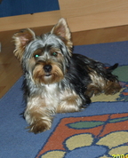 880200_27576_profile