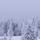 880664_39294_mini