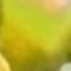 894705_76634_tiny