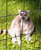 898131_82636_profile