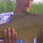 898550_15390_card
