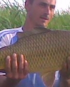 898550_15390_profile