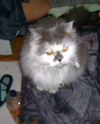 809555_18230_profile
