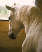 890358_36812_profile