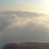 80283_164564_tiny
