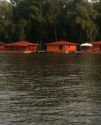 914782_36632_profile