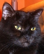 91526_198066_profile