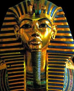 921059_79245_profile