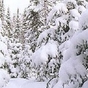 922651_16665_card