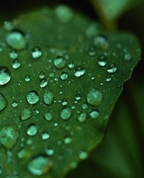 927036_66248_profile