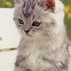 932035_90973_tiny
