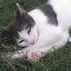 942421_74302_tiny