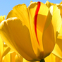 944869_40235_card