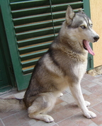 947552_75969_profile