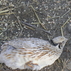 904693_58792_tiny