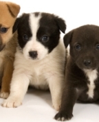 94473_807972_profile