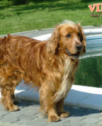 94843_803785_profile