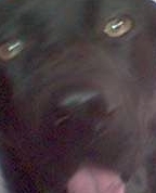 954045_61417_profile