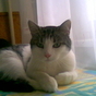 955360_68143_card