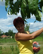 955581_77152_profile