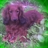 962955_31560_tiny