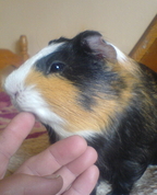 967090_36646_profile