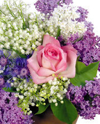 960404_79923_profile