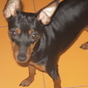 972710_95403_card