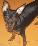 972710_95403_profile