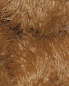 976737_19000_profile