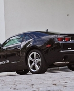 981718_67966_profile