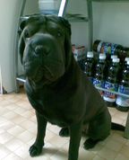 989480_27474_profile