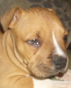 989497_77349_profile